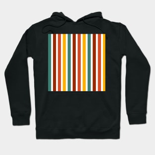 Groovy colour vertical strips Hoodie